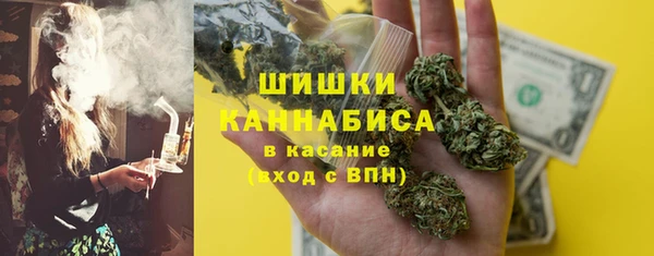 мдпв Володарск