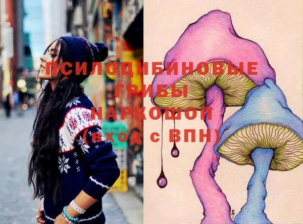 мдпв Володарск