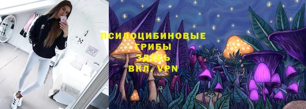 ГАЛЛЮЦИНОГЕННЫЕ ГРИБЫ Верея