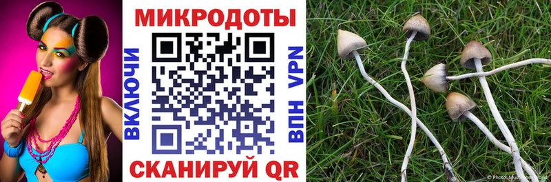 Псилоцибиновые грибы GOLDEN TEACHER Заволжск